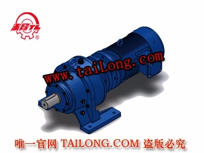 BHWED 臥式雙級專用電機直聯型化工部擺線針輪減速器（機）